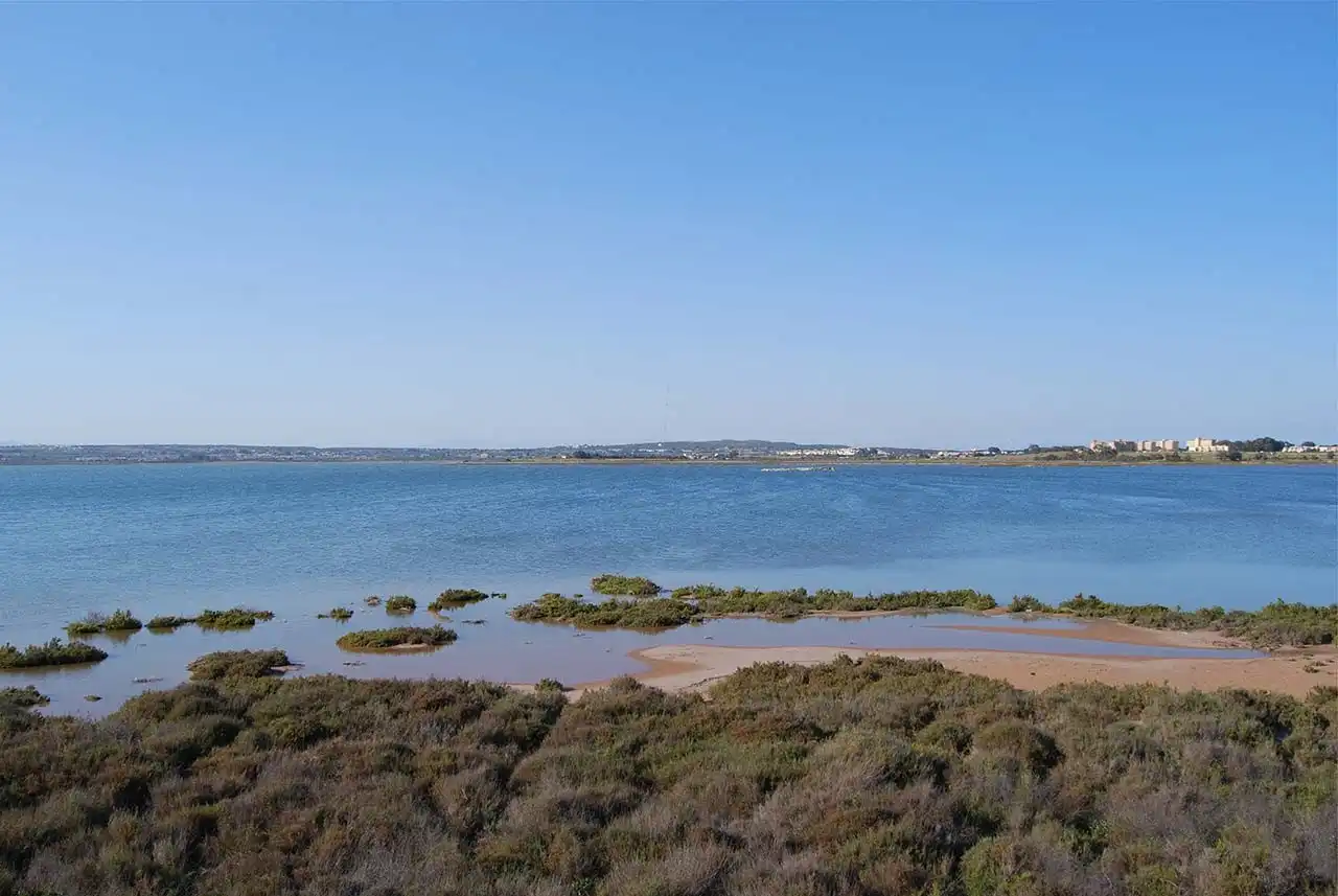 Casa en venta en Nueva Torrevieja - Aguas Nuevas, imagen 35