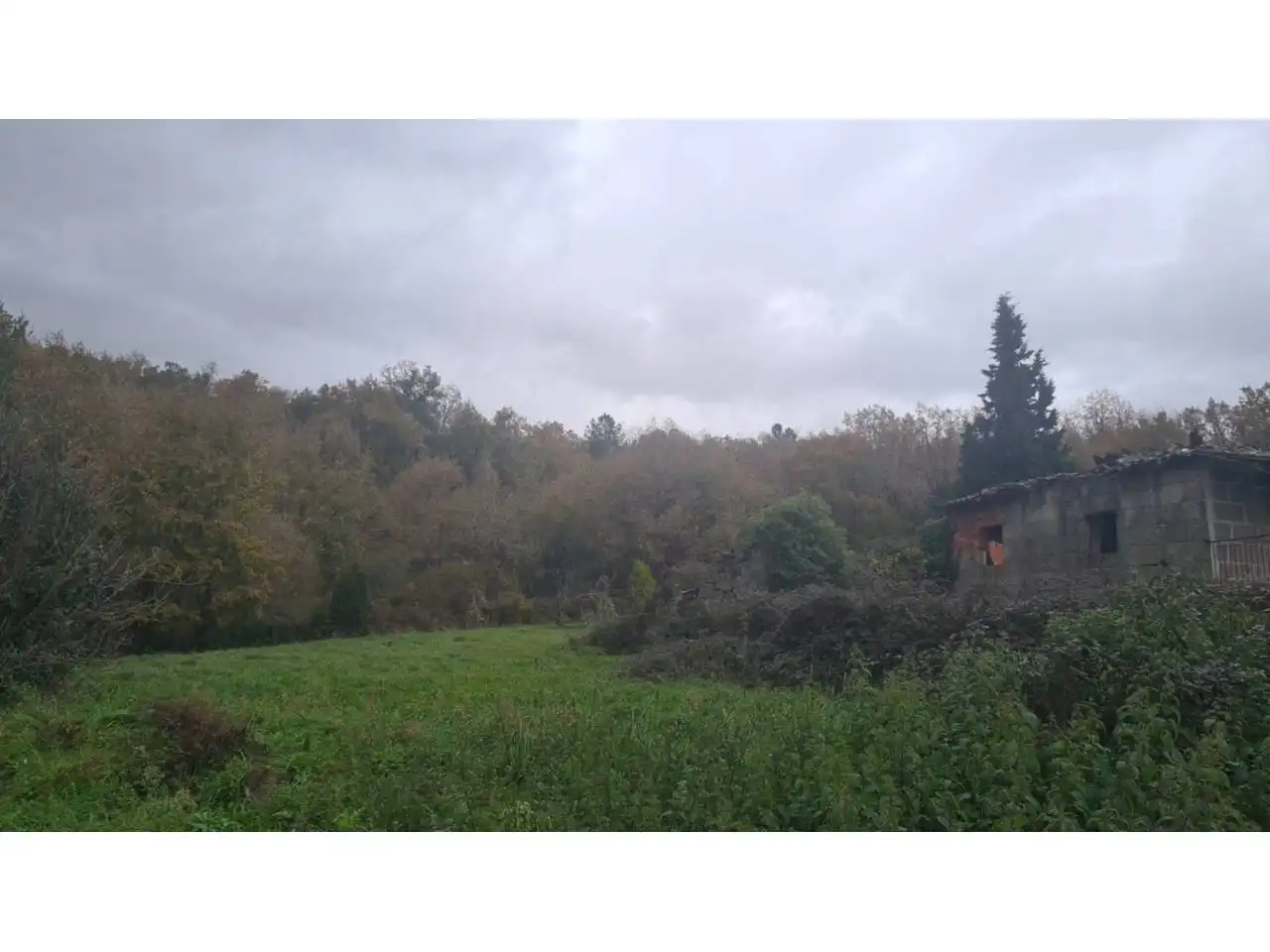 Casa con jardín en venta en O Pereiro de Aguiar, imagen 3