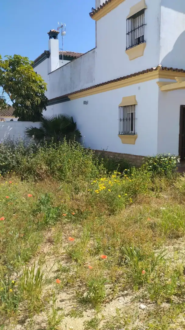Chalet con jardín en venta en Pelagatos - Pago del Humo