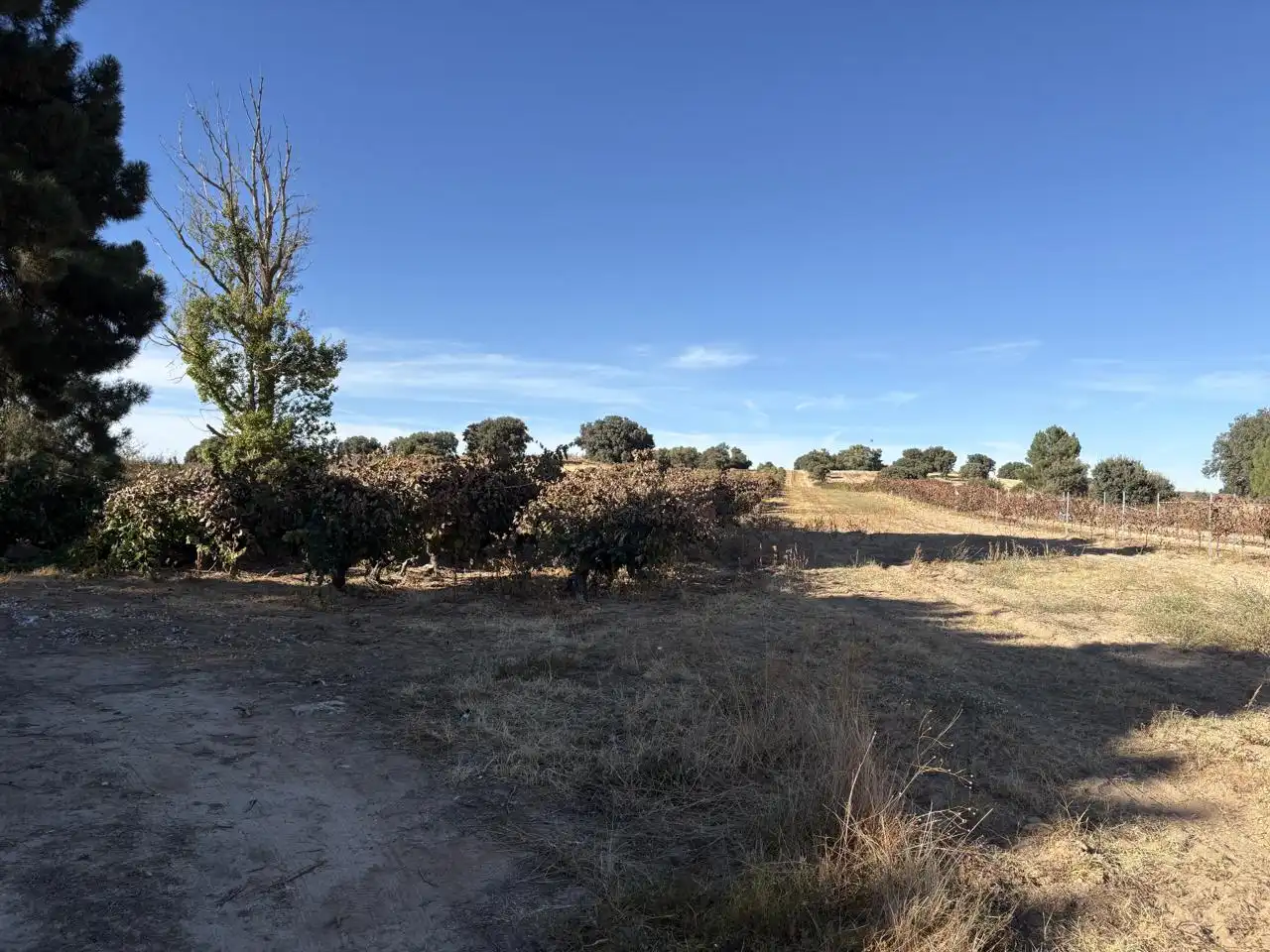 Residential for sale in Aranda de Duero