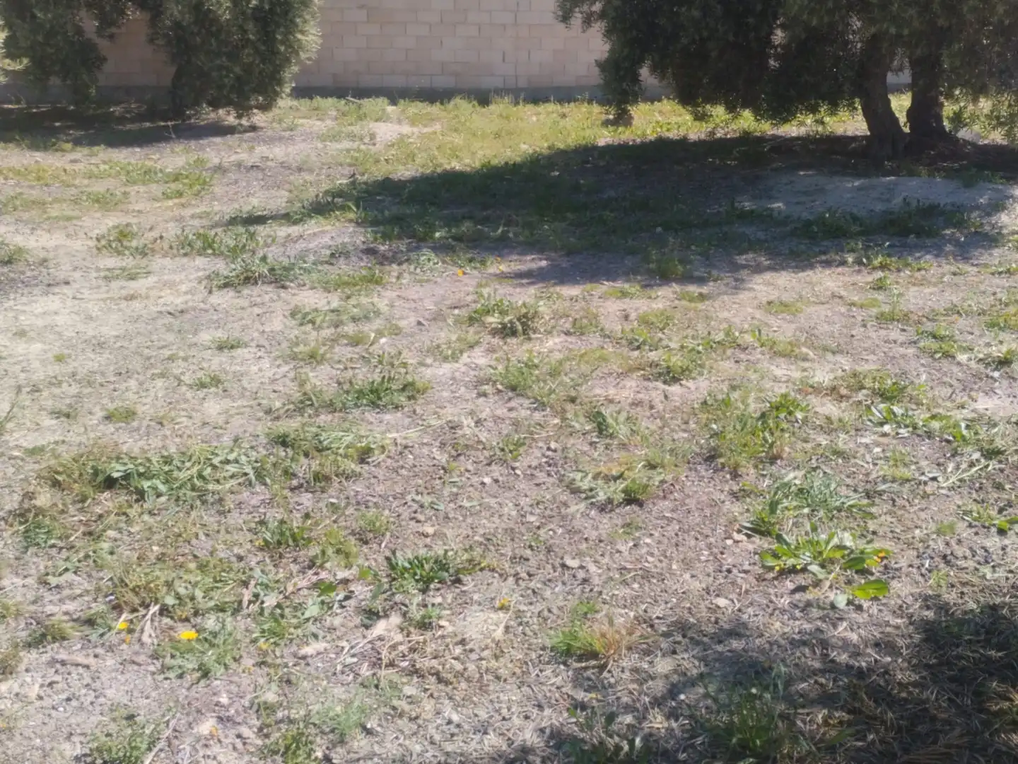 Residential zum Verkauf in La Guardia de Jaén