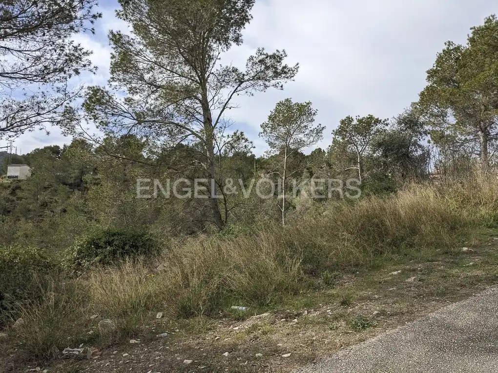 Terreno residencial en venta en Canyelles, imagen 20