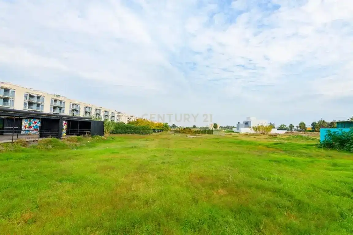 Land for sale in Almenara