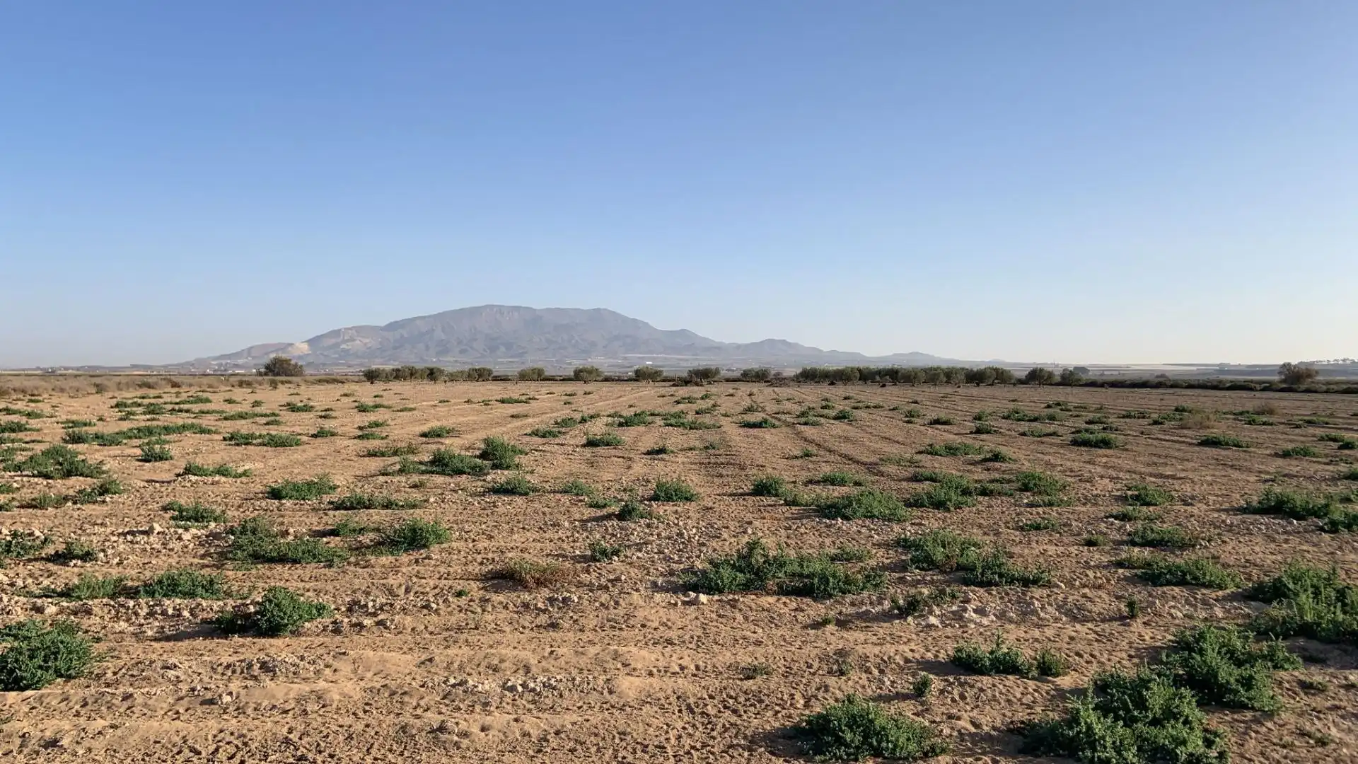 Terreno en venta en Alhama de Murcia