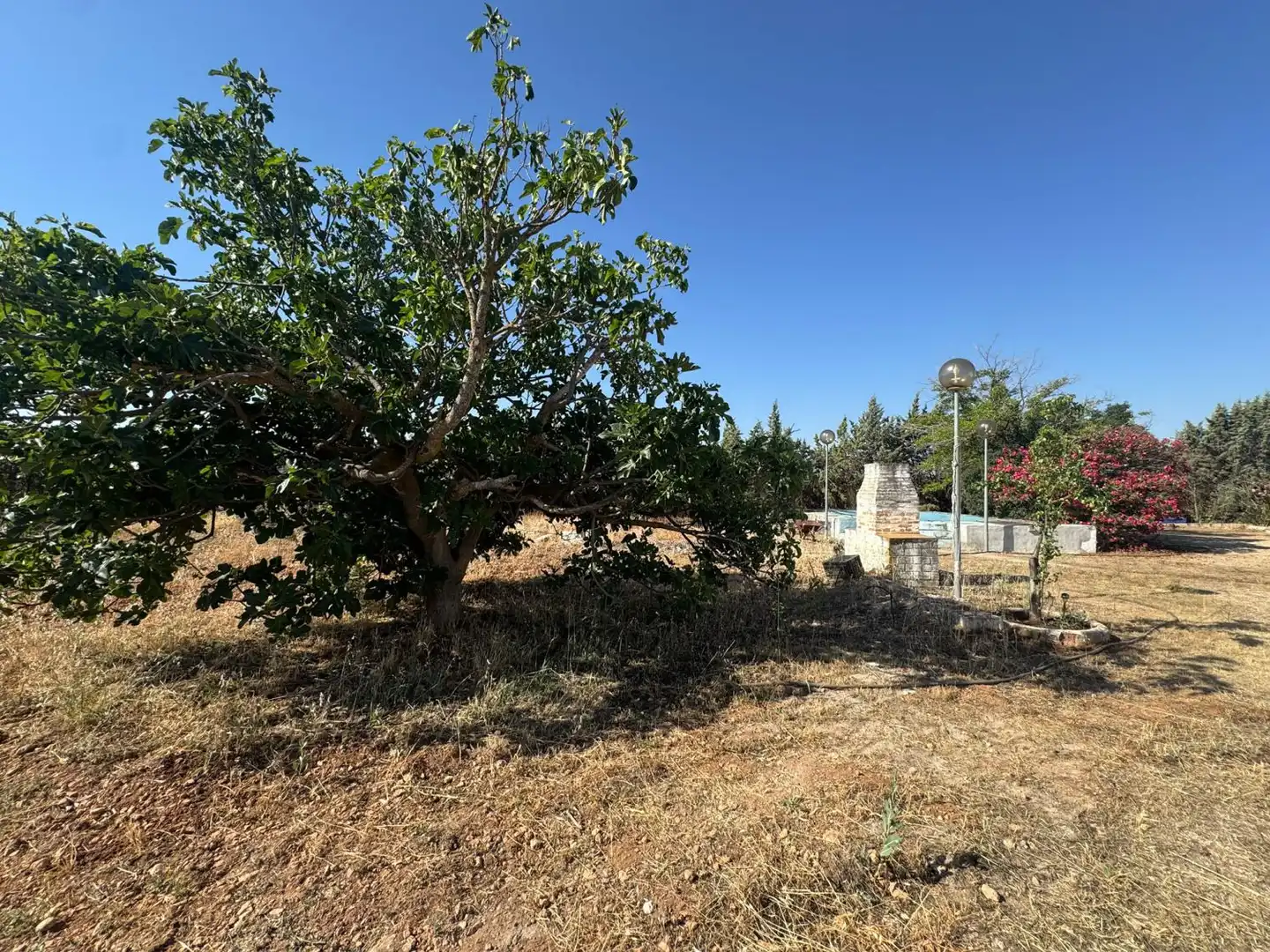 Casa rústica en venda a Valdepeñas, imagen 34