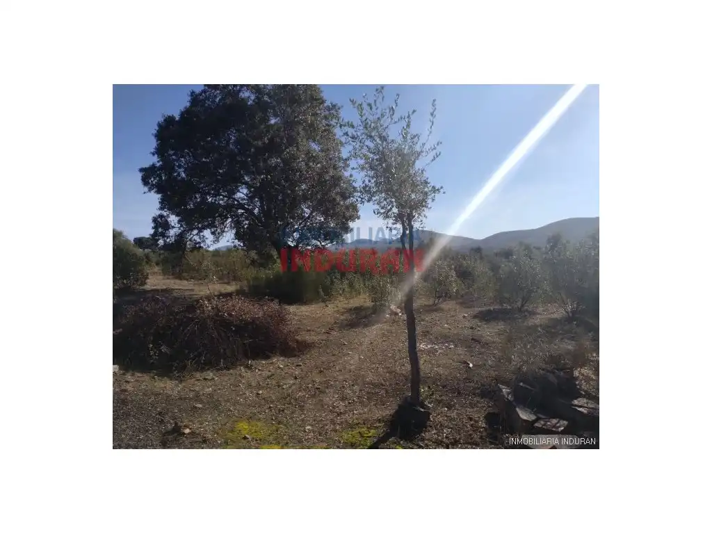 Casa rústica en venda a Fresnedoso de Ibor, imagen 9