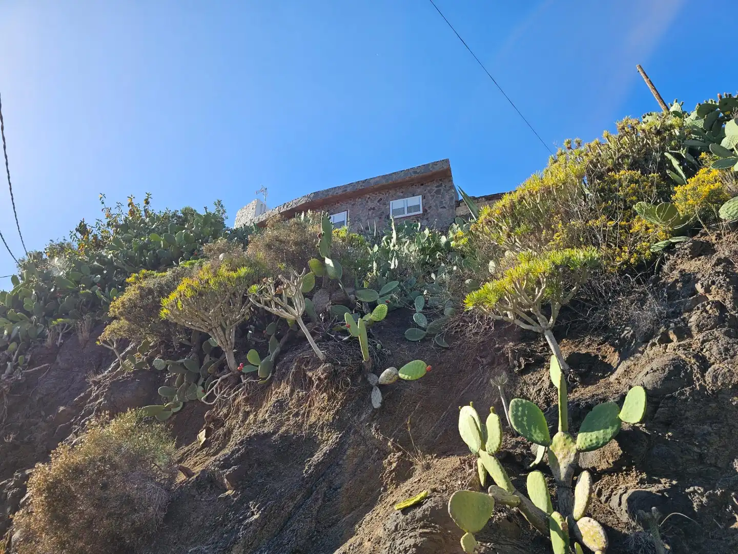Jardín de Finca rústica en venta en Tejeda