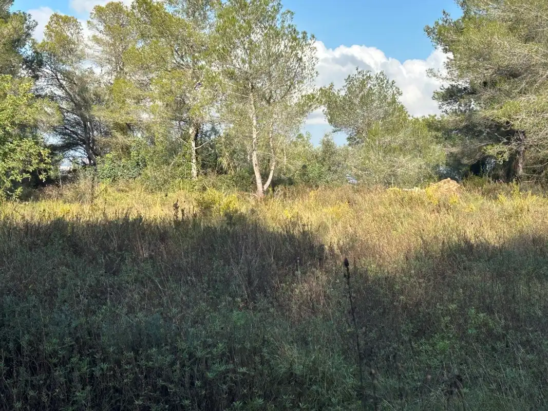 Rural land for sale in Partida Tancaes, imagen 28