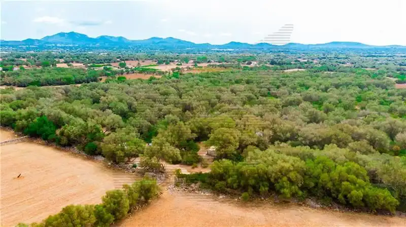 Residential land for sale in Felanitx Poble, imagen 6