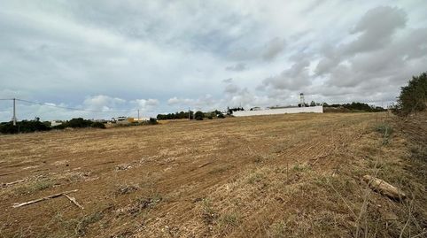 Terreno rustico en ConilLa Lobita, imatge 3