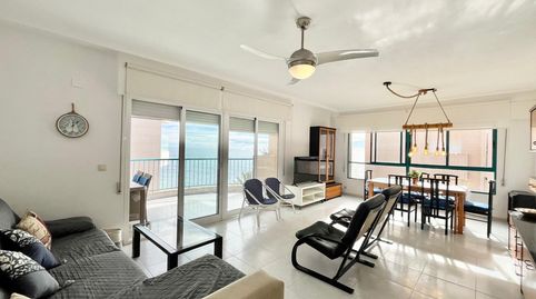 Foto 4 de Apartamento de alquiler en Zona Playa del Cura, Torrevieja