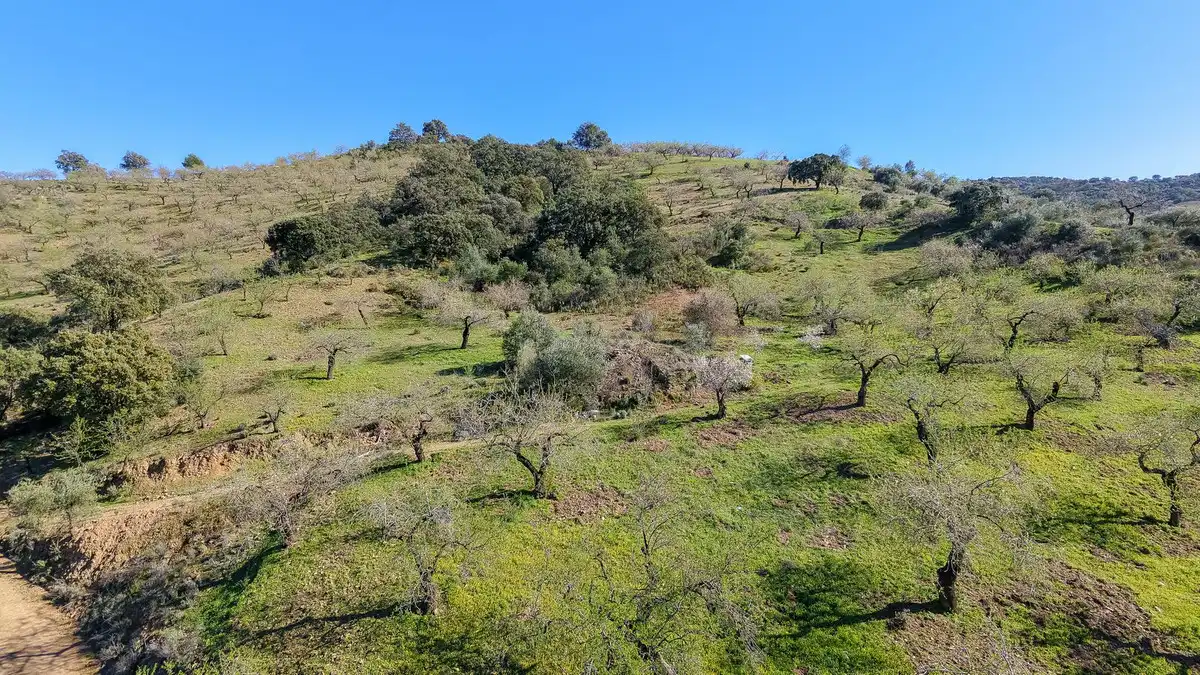 Terrenos y solares en venta en Este