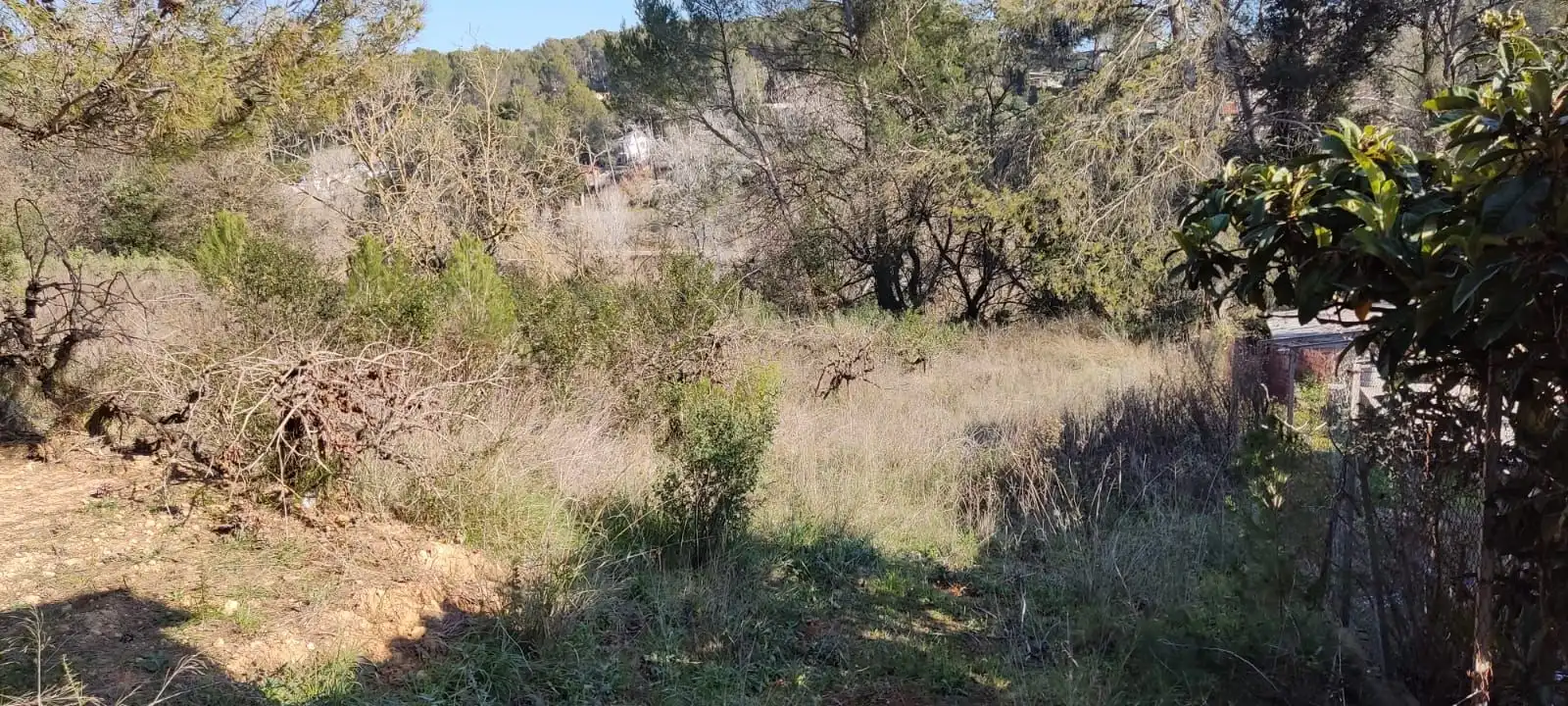 Terrain résidentiel à vendre à Sant Muç, imagen 11