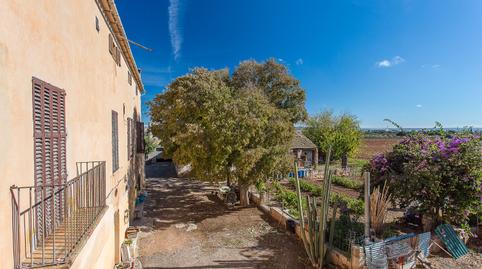 Foto 5 de Finca rústica en venda a Carrer Can Mas, 26, Els pla de na Tesa, Illes Balears