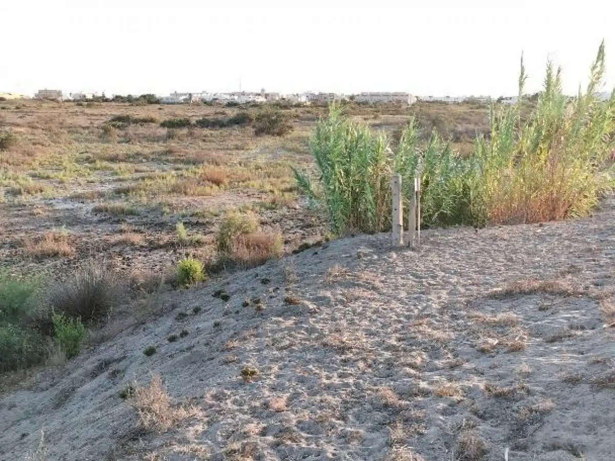 Terreno rustico in vendita a Camino LOS HUERTOS, imagen 50