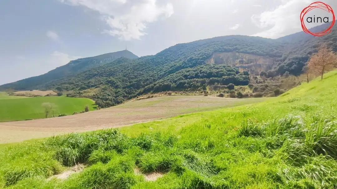 Residential for sale in Valle de Elorz / Elortzibar
