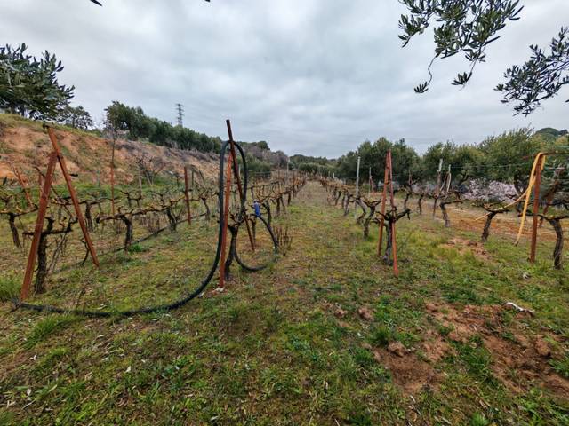 Terreno residencial en Venta en 7 en Zona Industrial