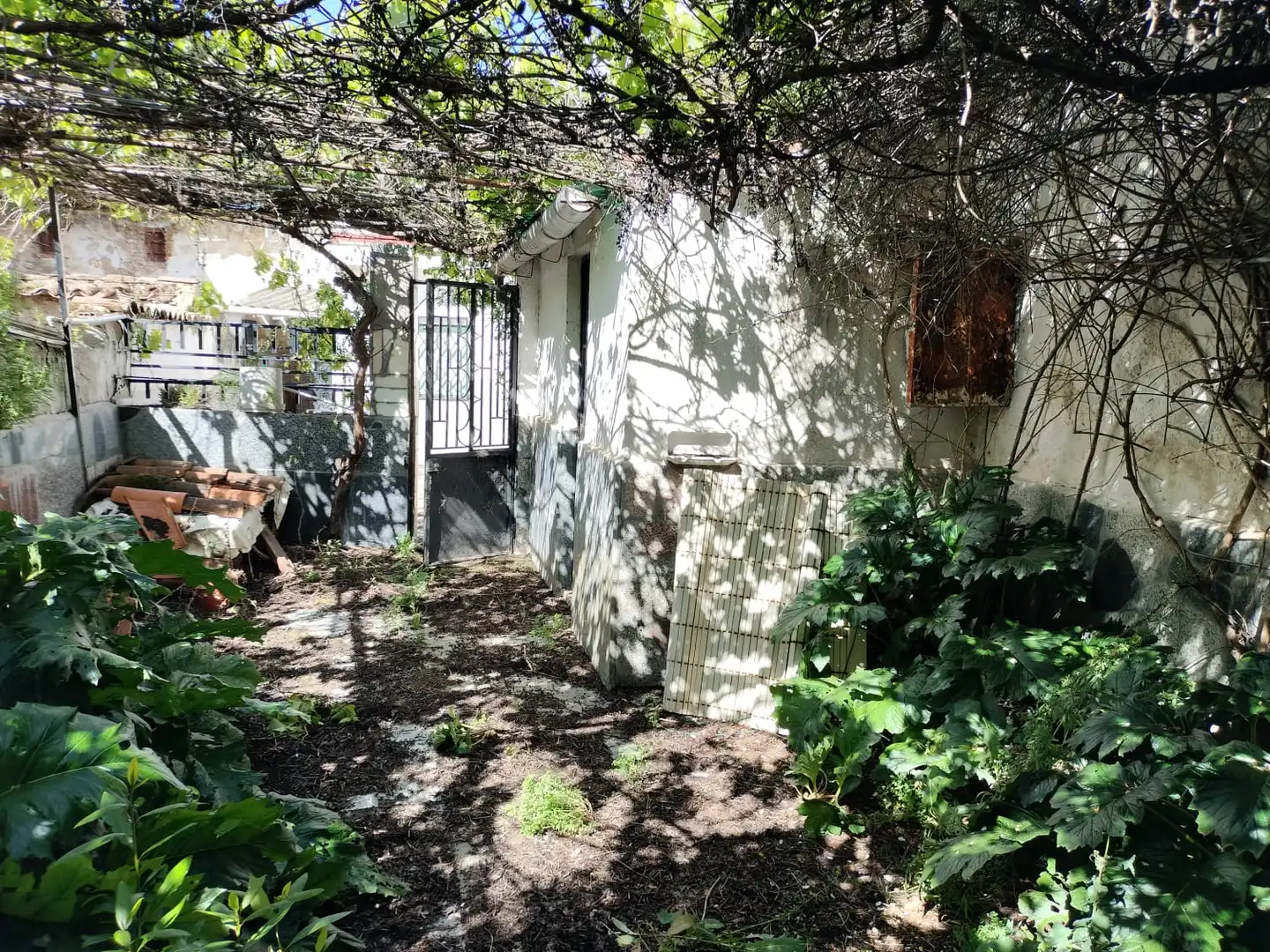Jardí de Casa o xalet en venda en Pozoblanco amb Terrassa