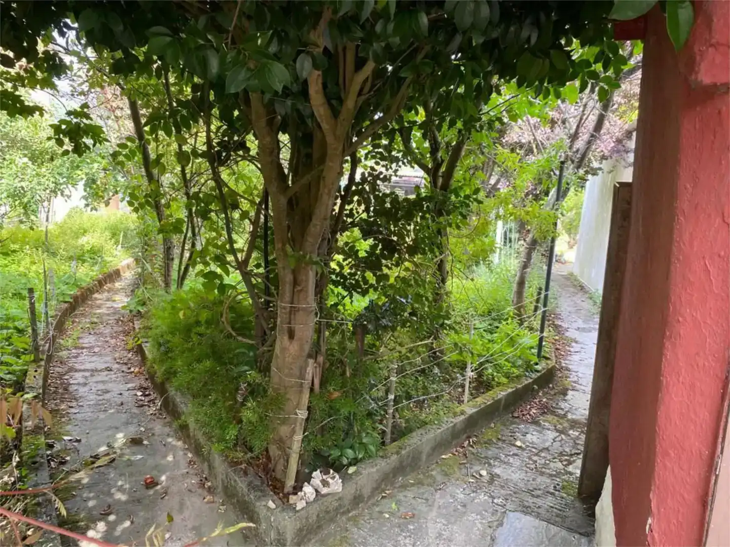 Grundstücke zum Verkauf in Ferrol