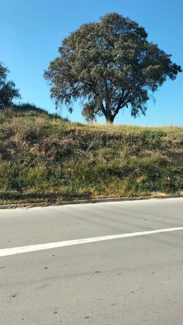 Terrain résidentiel à vendre à Passeig Passeig de Sant Valèria 68, imagen 2