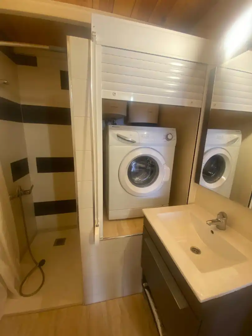 Bathroom of Apartments for rent in Centro
