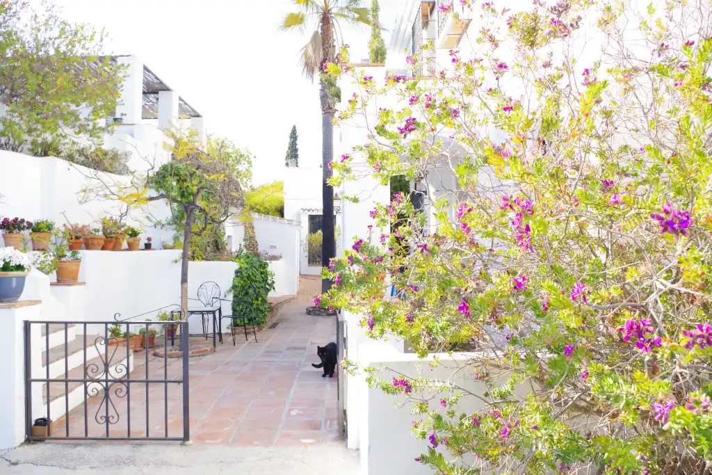 Casa rústica con piscina en venta en Torrox Pueblo, imagen 39