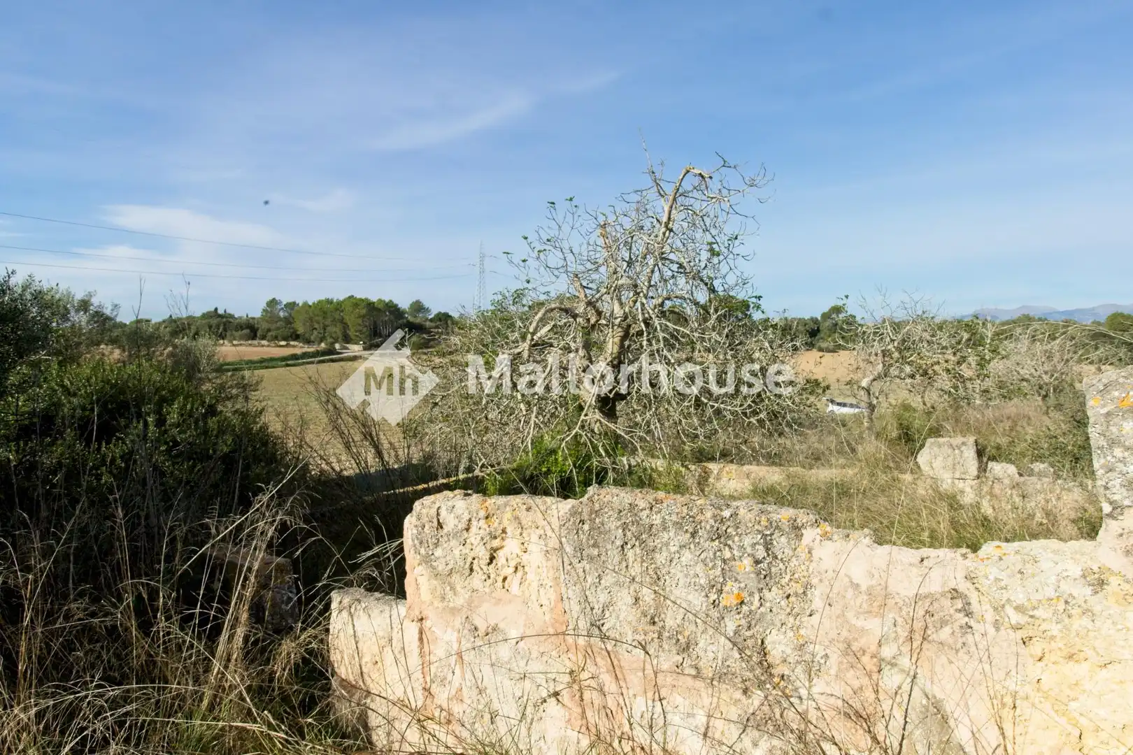 Grundstücke und Bauplätze zum Verkauf in Camino del Camp des Pi, imagen 11