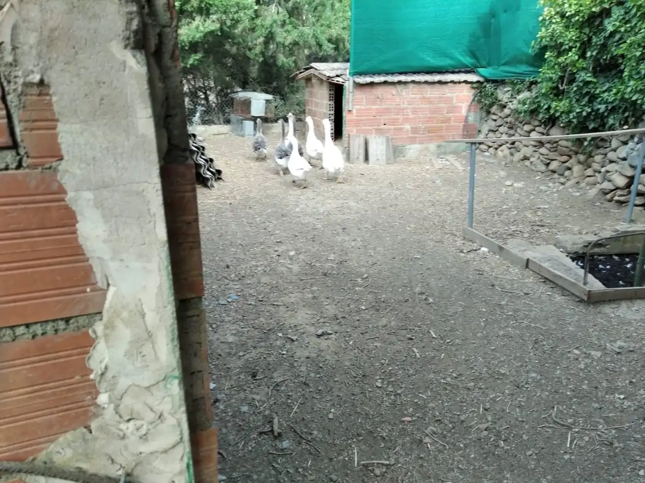 Terreny rústic en venda a Carrer Rabós 2, imagen 7
