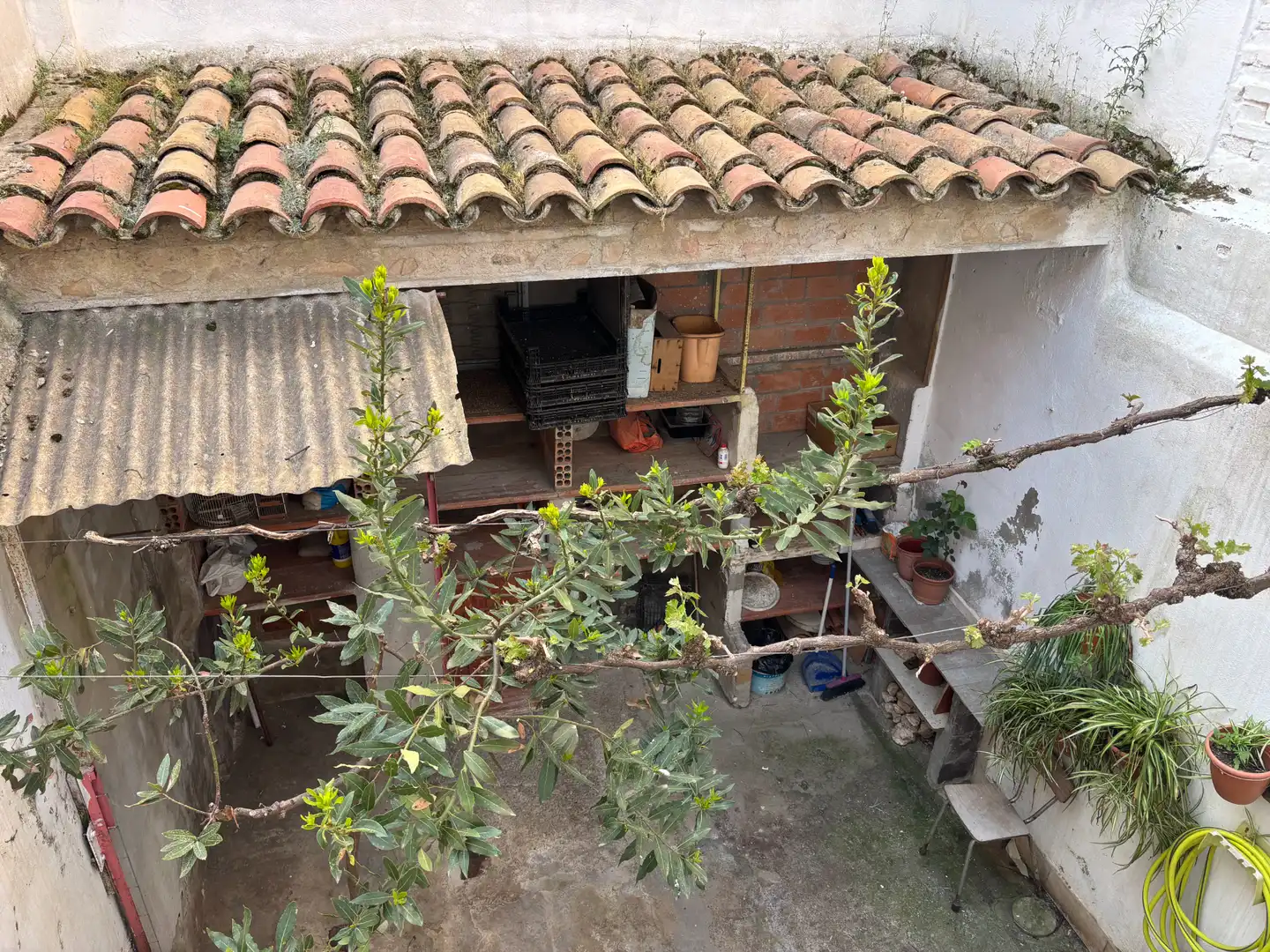 Casa o xalet en venda a Mollerussa