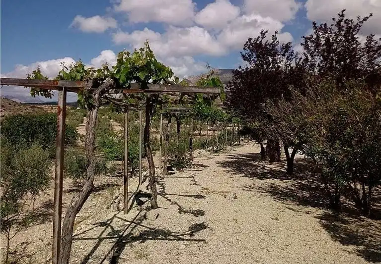 Casa rústica con jardín en venta en Pedanías Norte, imagen 19