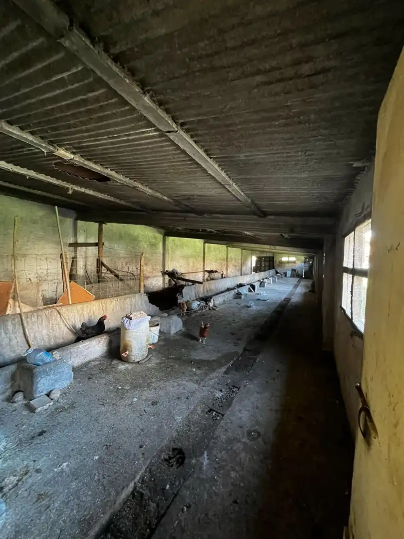Maison rustique à vendre à Cervià de Ter, imagen 12