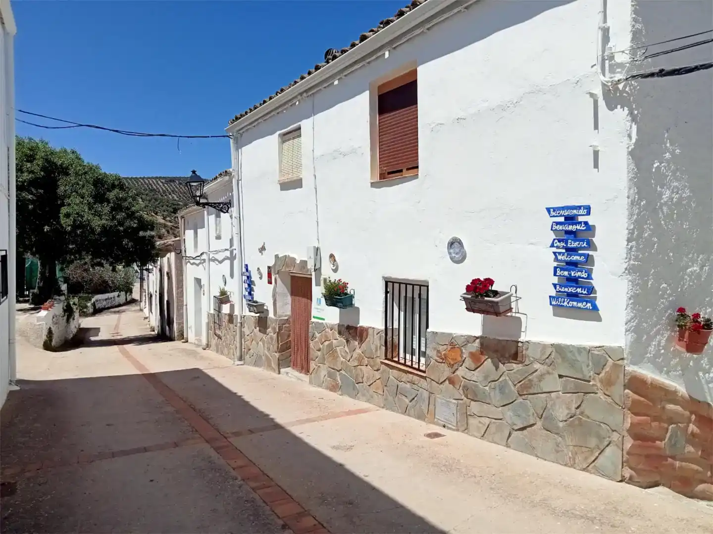 Vista exterior de Finca rústica en venda en Beas de Segura amb Aire condicionat, Piscina i Moblat
