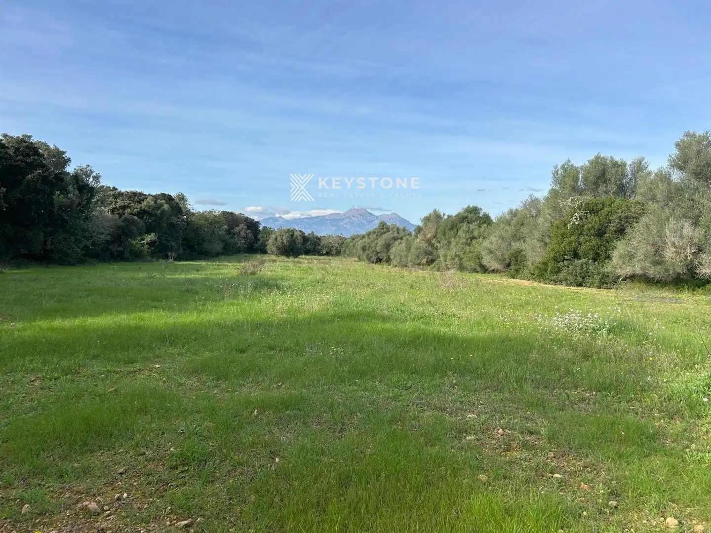 Rural land for sale in Muro, imagen 6