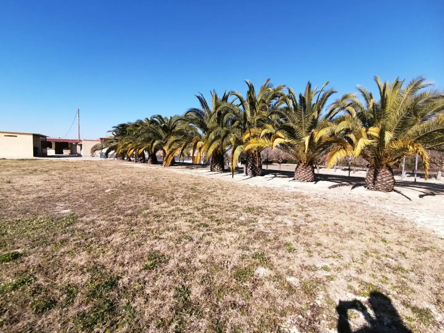 Casa o chalet en venta en El Palomar con Aire acondicionado, Calefacción y Jardín privado