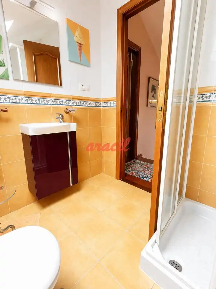 Baño de Casa o chalet en venta en O Pereiro de Aguiar  con Calefacción, Jardín privado y Trastero
