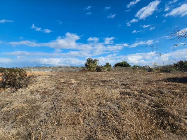 Terreno en Venta en San Felipe - San Marcos - Las Cañas