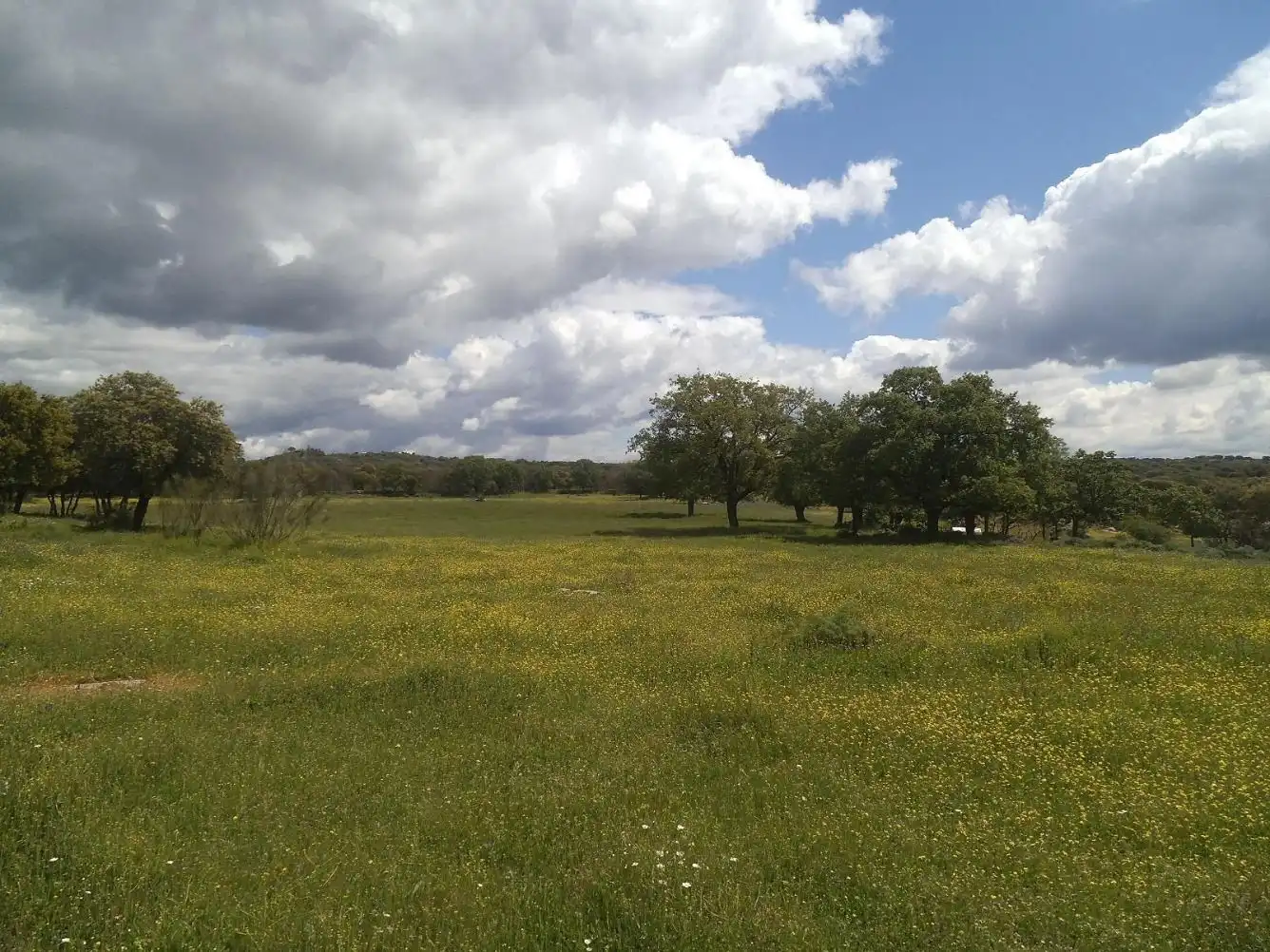 Residencial en venda en Valdemorillo
