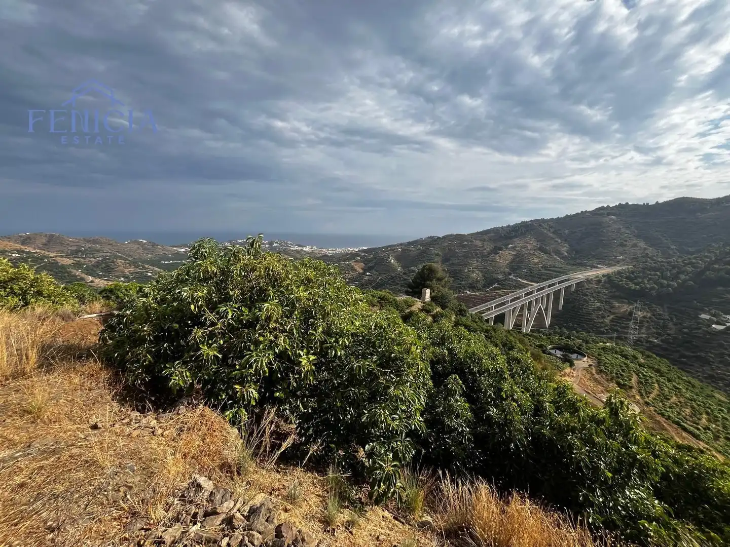 Vista exterior de Terreno en venta en Almuñécar