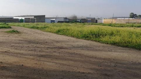 Photo 5 of Residential for sale in S-sunc-r1 del Pgou en Fase de Ap. Provisional, Estación - La Fontanilla - El Tinte, Sevilla