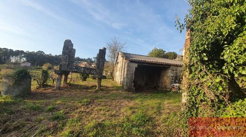 As neves/Finca Rustica
