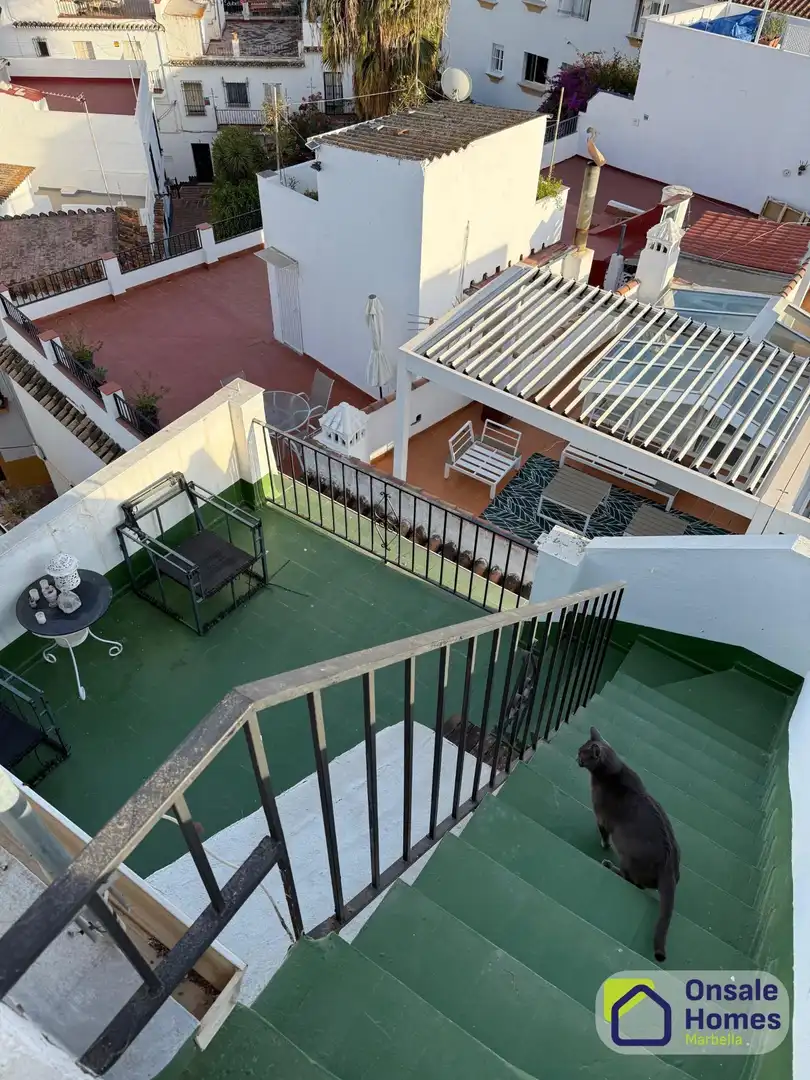 Inmuebles singulares en venta en Marbella Centro, imagen 7