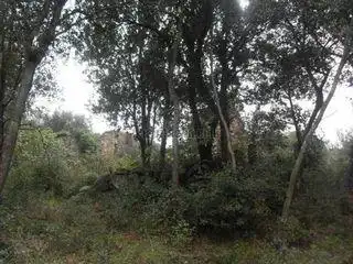 Casa rústica en venda a Llinars del Vallès, imagen 2