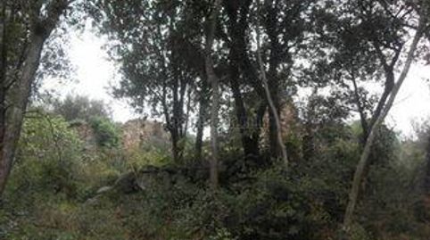 FINCA RUSTICA EN VENTA EN LLINARS DEL VALLÈS. SE ESCUCHAN OFERTAS!!!, imatge 2