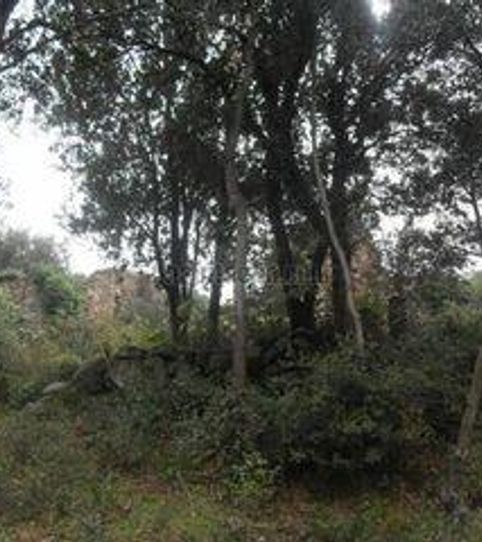 Foto 2 de Finca rústica en venda a Llinars del Vallès, Barcelona