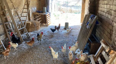 Foto 3 de Residencial en venta en Calle Virgen de Espana, 13, Beas, Huelva