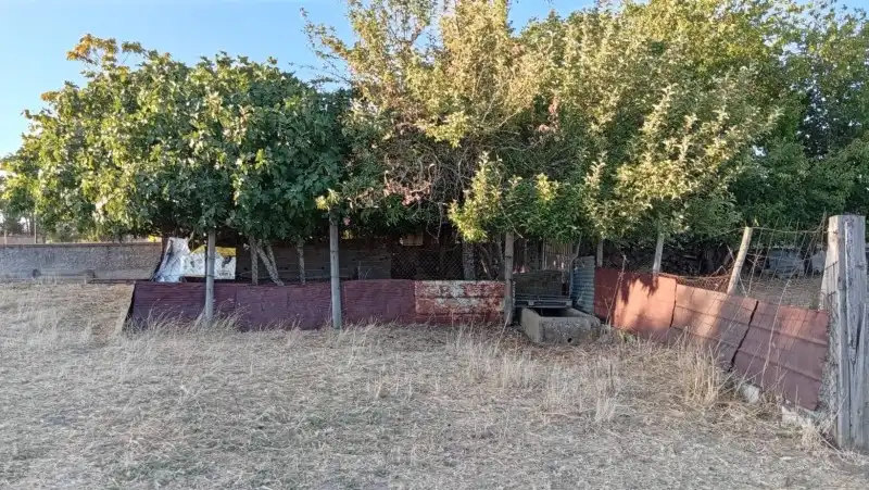 Terreny residencial en venda a Aldea del Cano, imagen 8