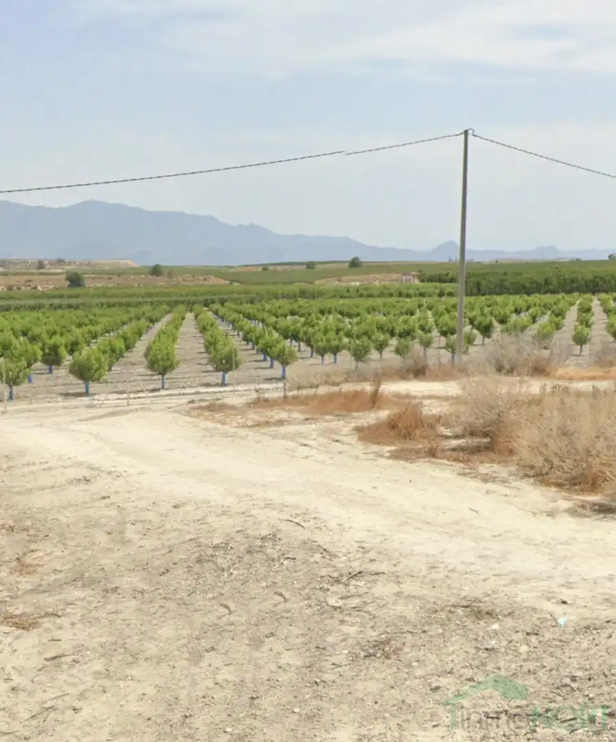 Finca rústica en venda en Cartagena amb Traster