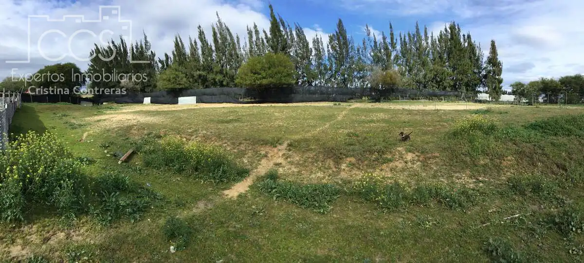 Casa rústica con piscina en venta en Almonte ciudad, imagen 2