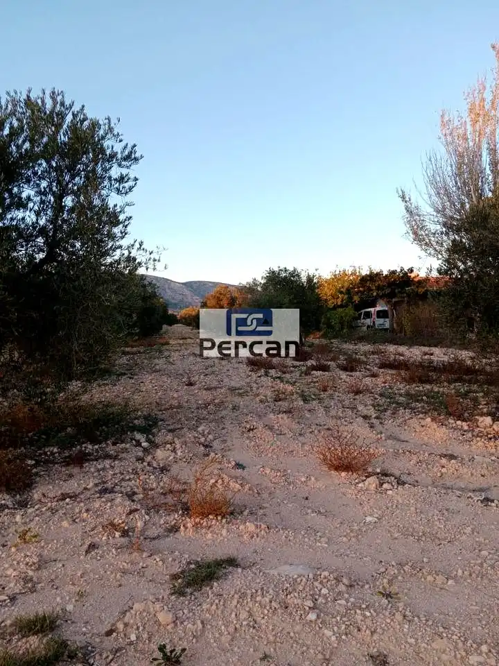 Terrenos y solares en venta en Mariscal, imagen 12
