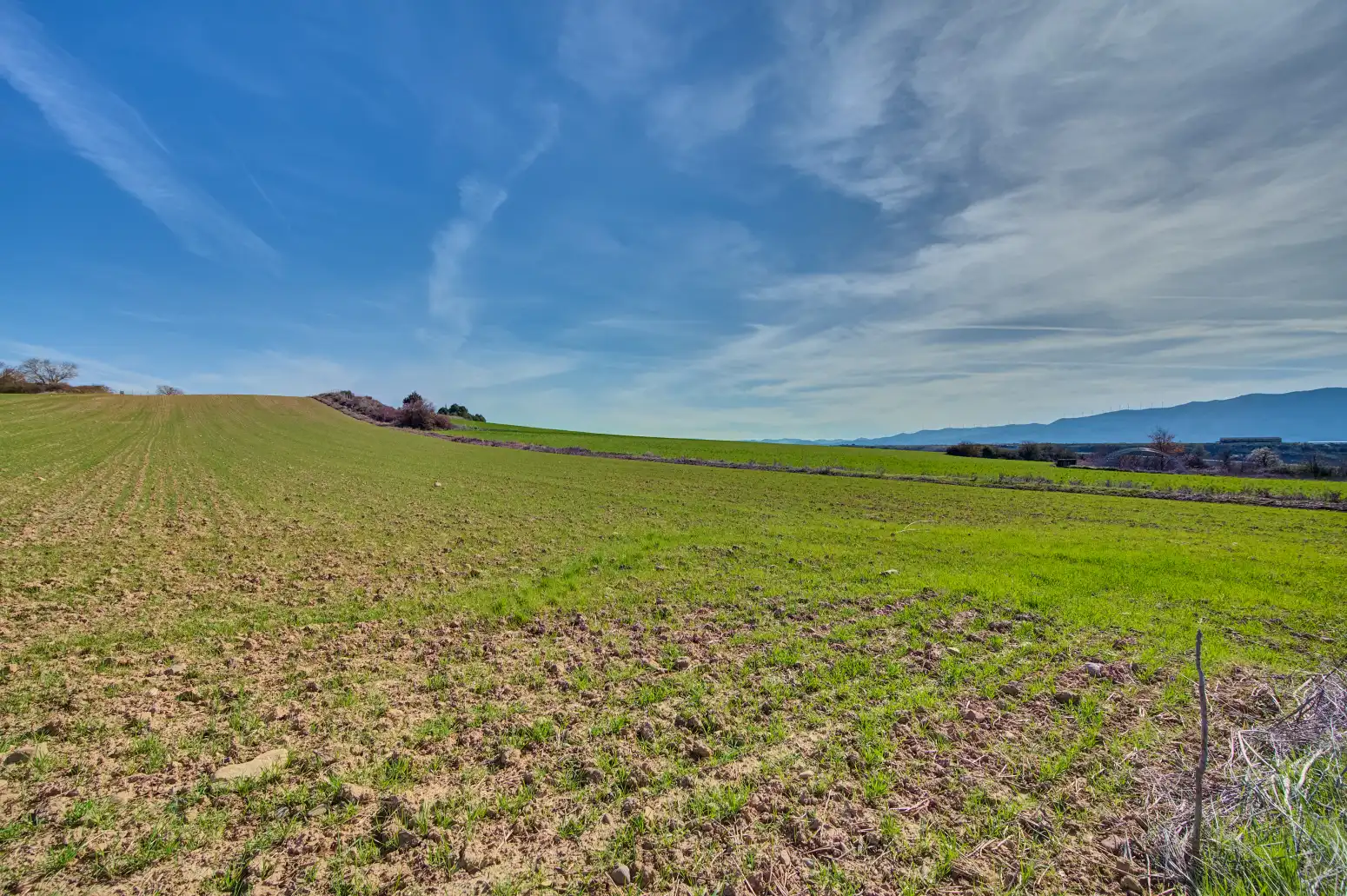 Rural land for sale in Sangüesa / Zangoza, imagen 40
